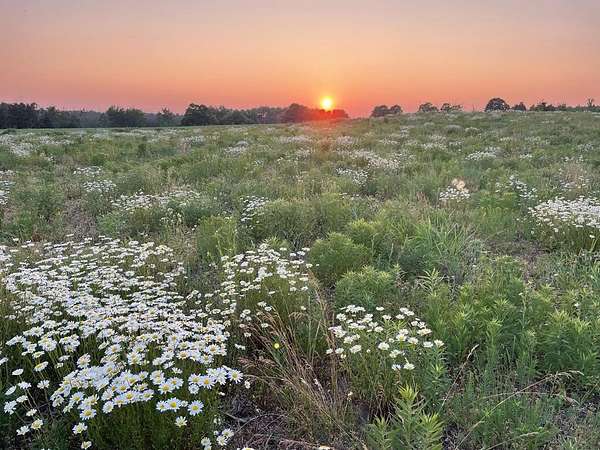 20.2 Acres of Recreational Land for Sale in Fish Creek, Wisconsin