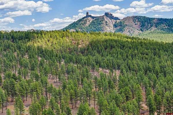71.7 Acres of Recreational & Residential Land for Sale in Bayfield, Colorado