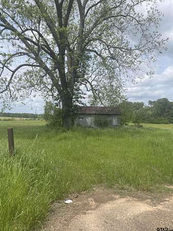 17.4 Acres of Agricultural Land for Sale in Pittsburg, Texas