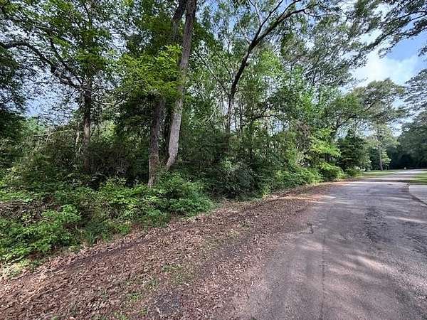 0.27 Acres of Residential Land for Sale in Hemphill, Texas