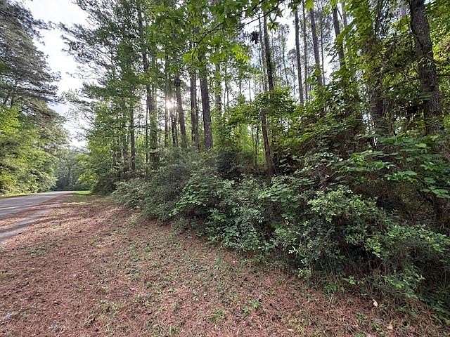 0.28 Acres of Residential Land for Sale in Hemphill, Texas