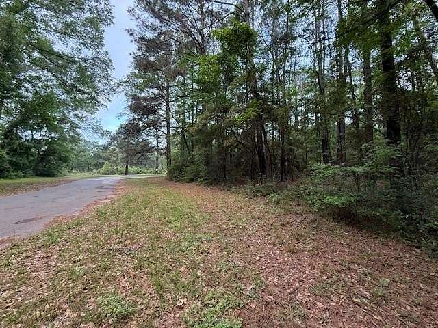 0.31 Acres of Residential Land for Sale in Hemphill, Texas