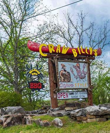 5.28 Acres of Improved Residential Land for Sale in St. Joe, Arkansas