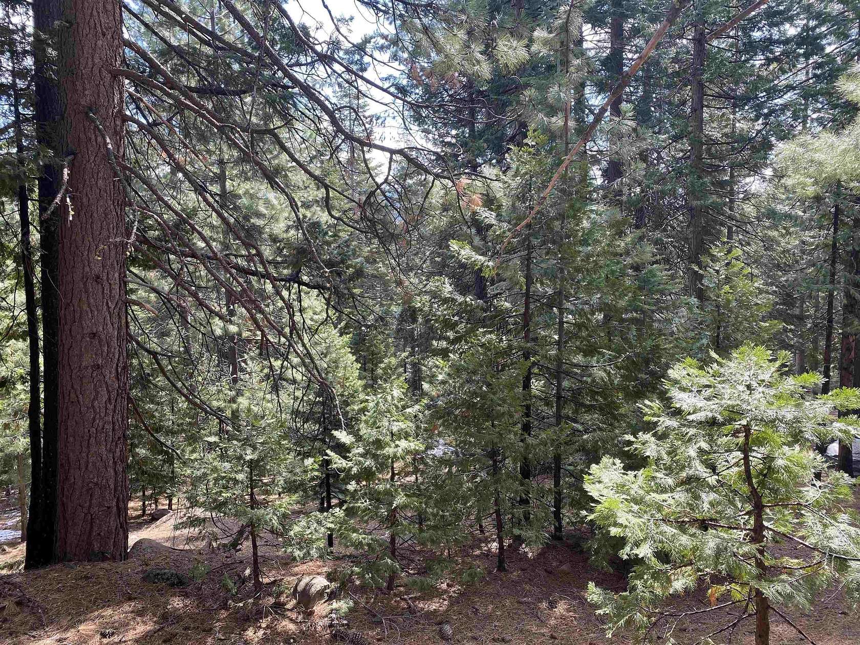 0.6 Acres of Land for Sale in Lake Almanor Peninsula, California
