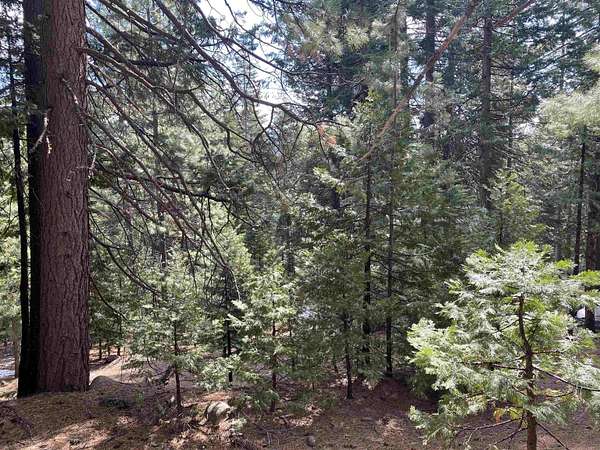 0.6 Acres of Land for Sale in Lake Almanor Peninsula, California
