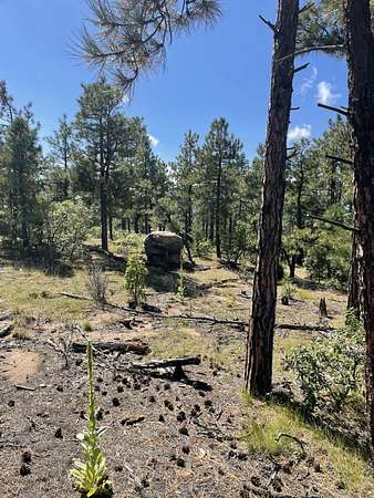 40 Acres of Land for Sale in Trinidad, Colorado