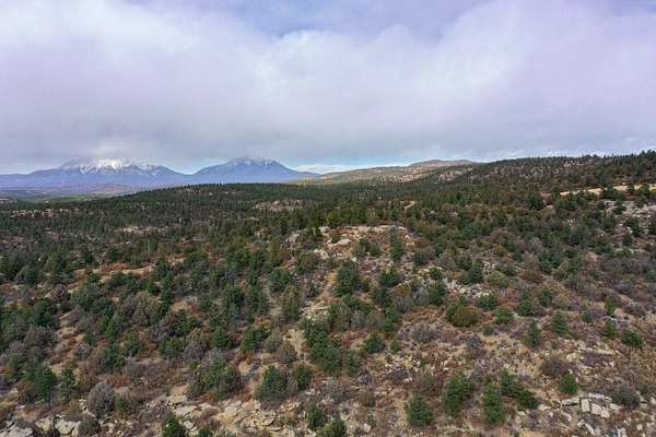 72 Acres of Land for Sale in Weston, Colorado