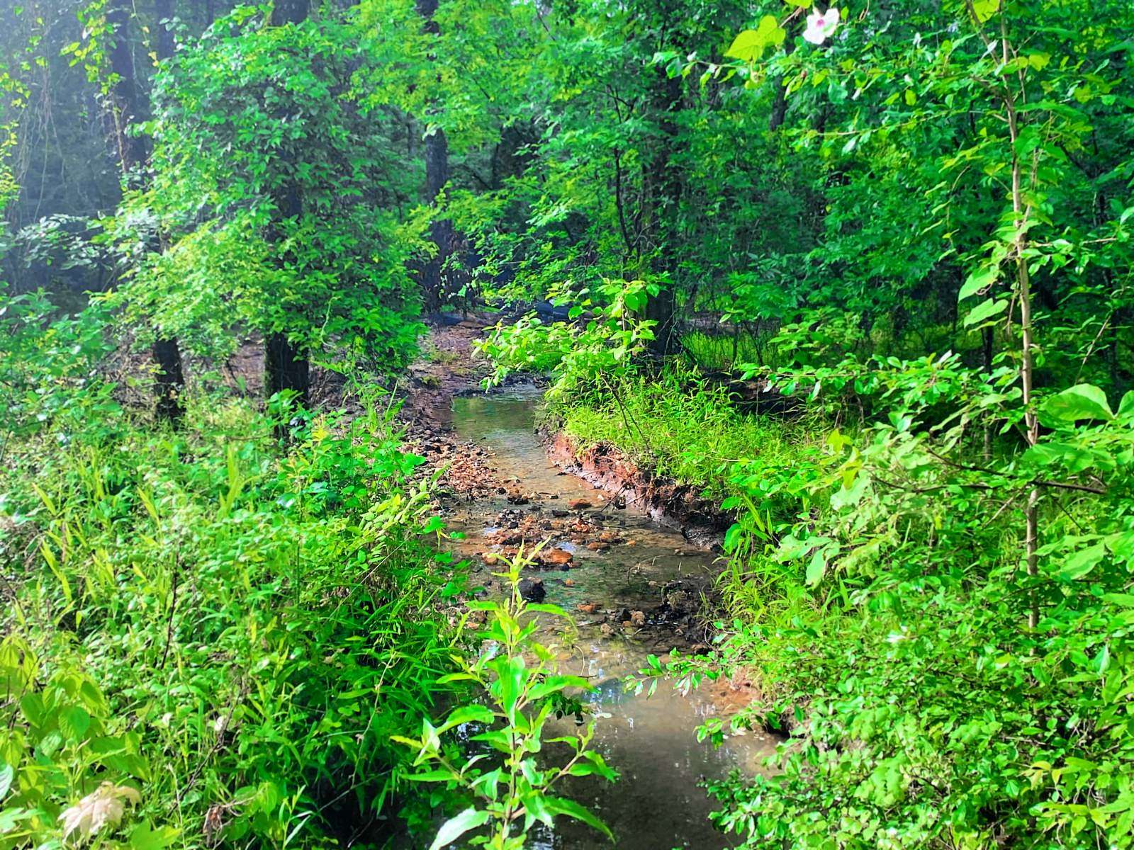 1.3 Acres of Land for Sale in Broken Bow, Oklahoma