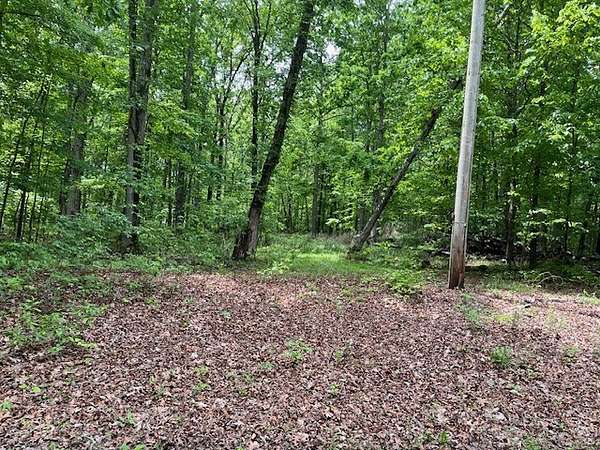 40.7 Acres of Recreational & Residential Land for Sale in Fairview, Tennessee