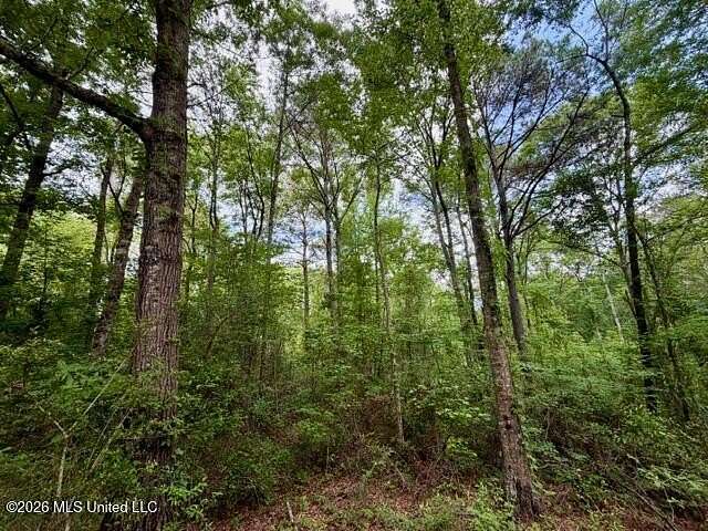 5.4 Acres of Residential Land for Sale in McComb, Mississippi