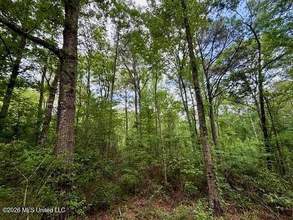 5.4 Acres of Residential Land for Sale in McComb, Mississippi