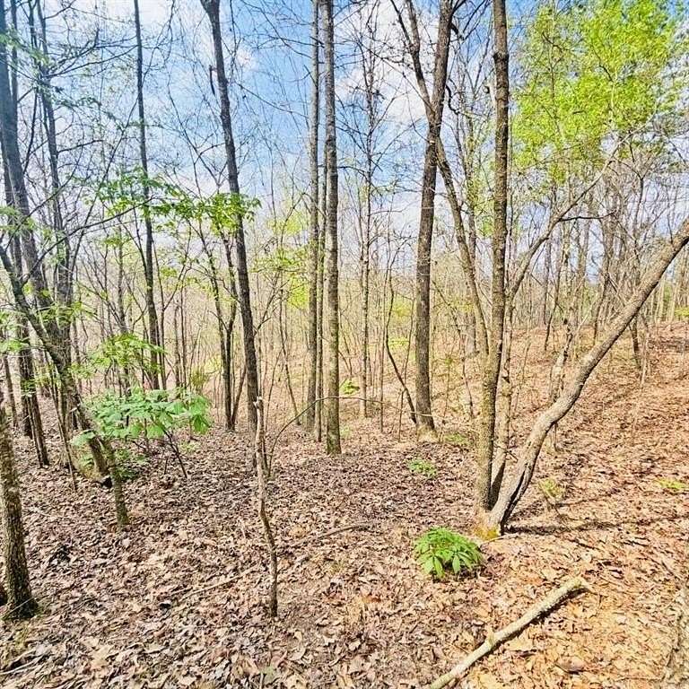 10 Acres of Residential Land for Sale in Ranger, Georgia