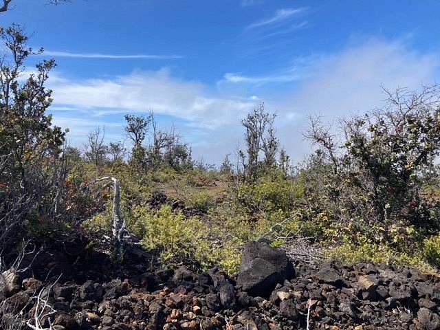 1 Acre of Land for Sale in Hawaiian Ocean View, Hawaii