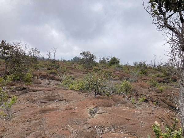 1 Acre of Land for Sale in Hawaiian Ocean View, Hawaii