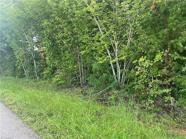 1 Acre of Residential Land for Sale in Browns Summit, North Carolina