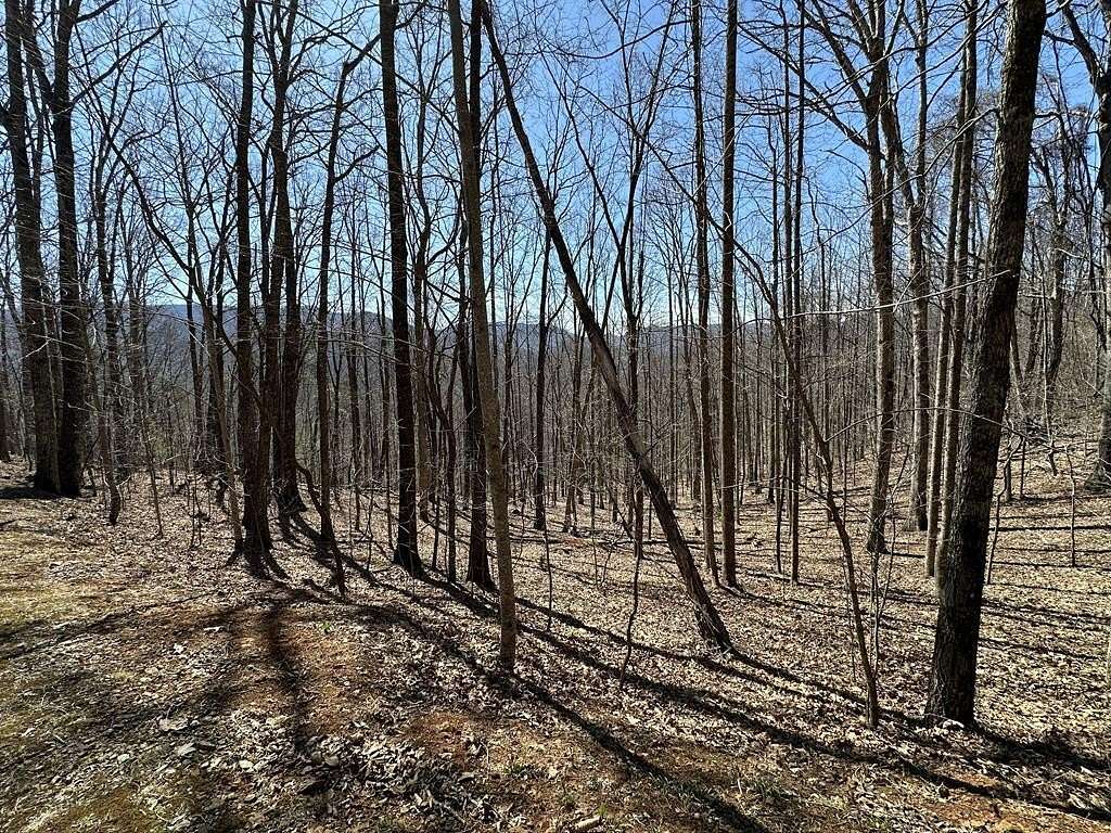 3.7 Acres of Land for Sale in Franklin, North Carolina