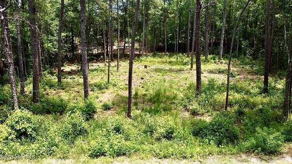 0.37 Acres of Residential Land for Sale in Pinehurst, North Carolina