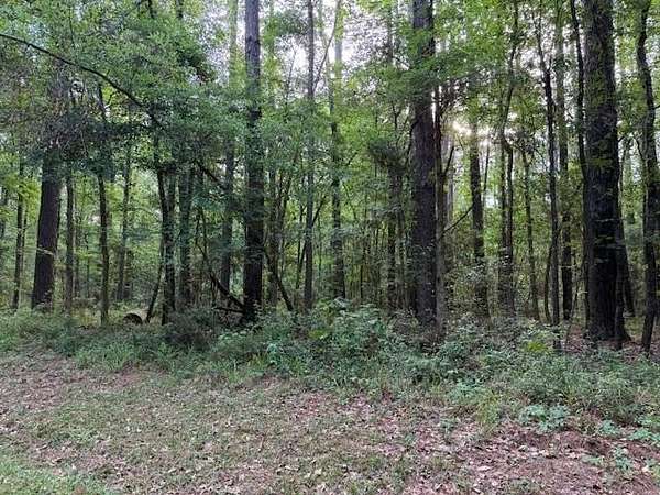 0.26 Acres of Residential Land for Sale in Hemphill, Texas