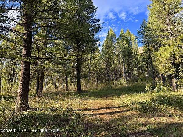 0.4 Acres of Residential Land for Sale in Star Valley Ranch, Wyoming