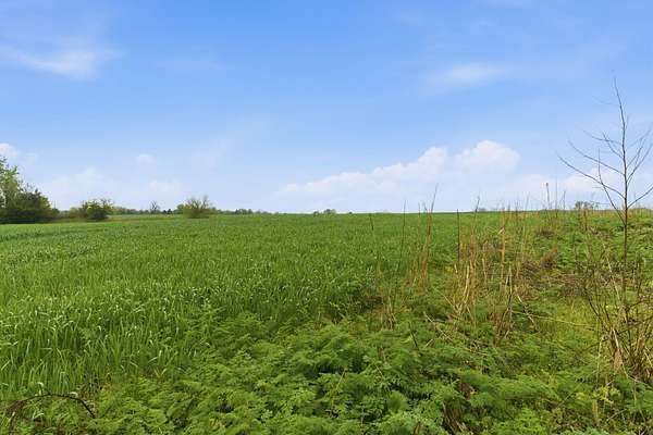 10 Acres of Residential Land for Sale in Marionville, Missouri
