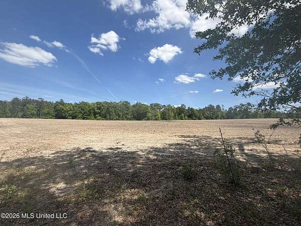 19.2 Acres of Land for Sale in Lucedale, Mississippi