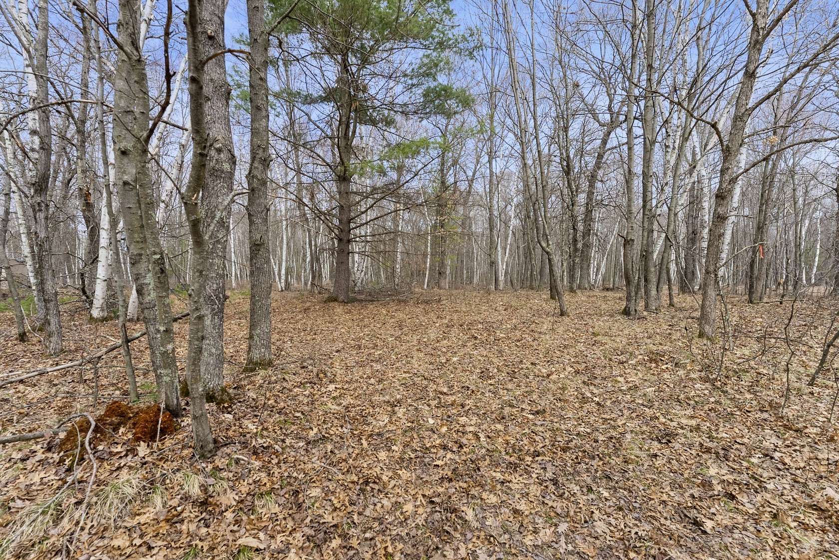 3.73 Acres of Residential Land for Sale in Webster, Wisconsin