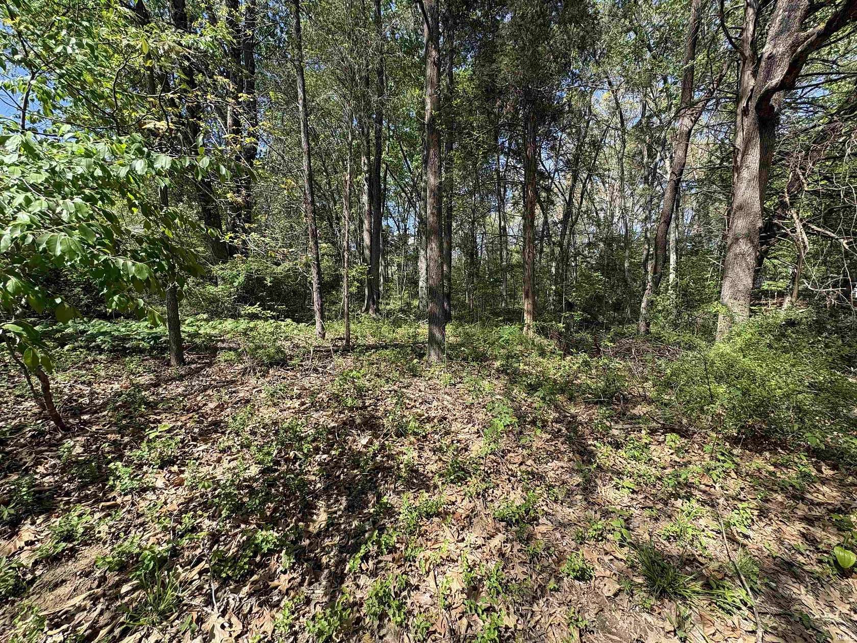 0.29 Acres of Residential Land for Sale in Santa Claus, Indiana