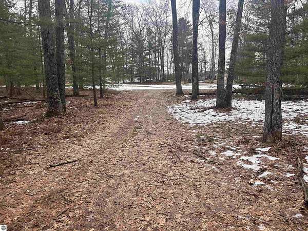 3.5 Acres of Residential Land for Sale in Baldwin, Michigan