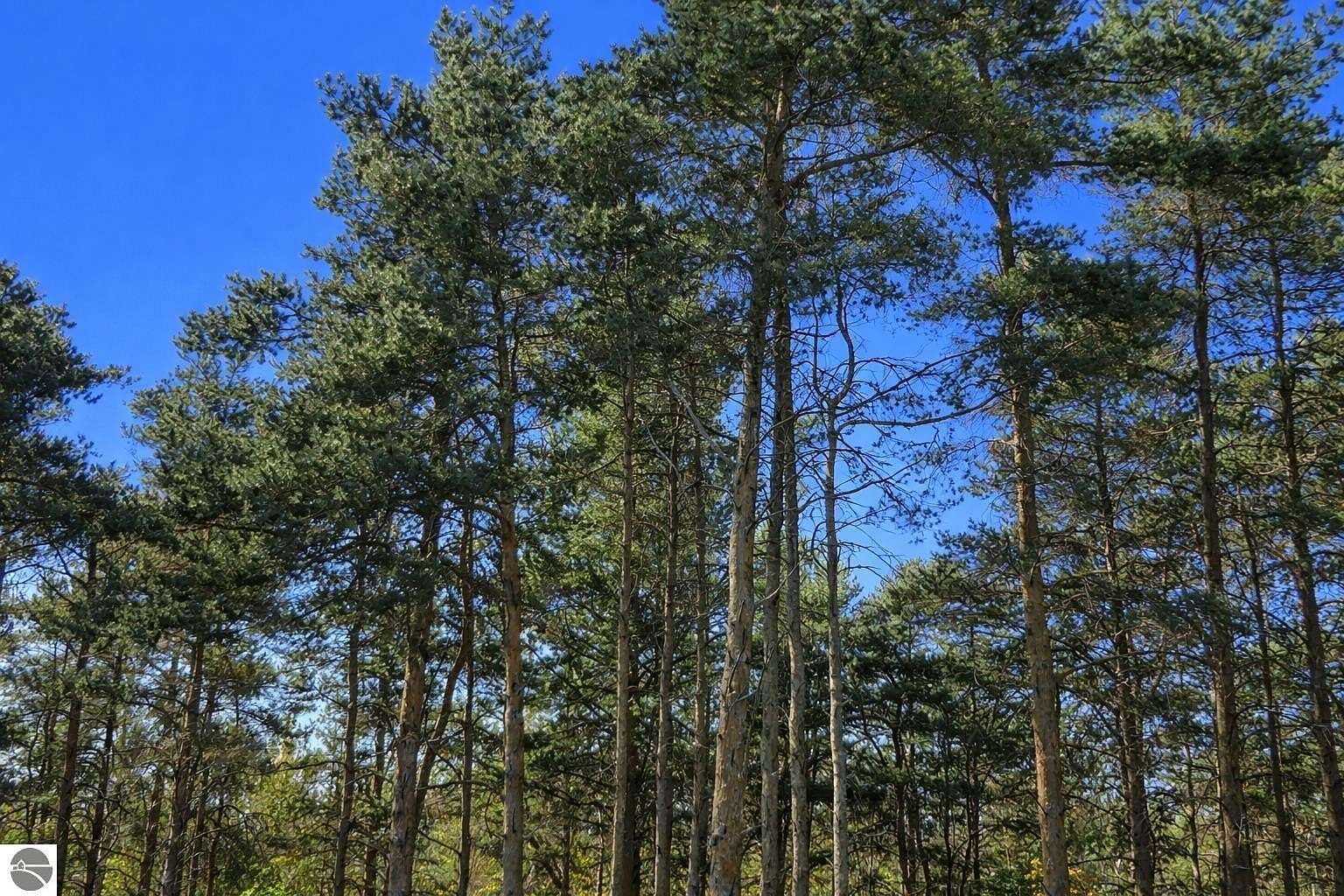 0.73 Acres of Residential Land for Sale in Petoskey, Michigan