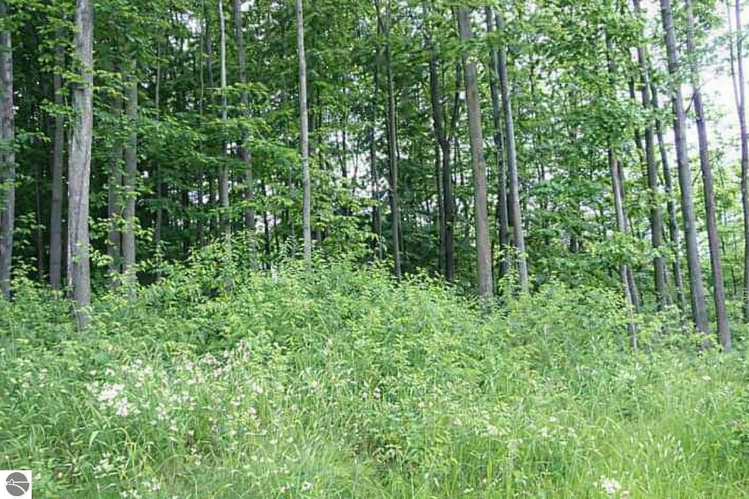 0.62 Acres of Residential Land for Sale in Petoskey, Michigan