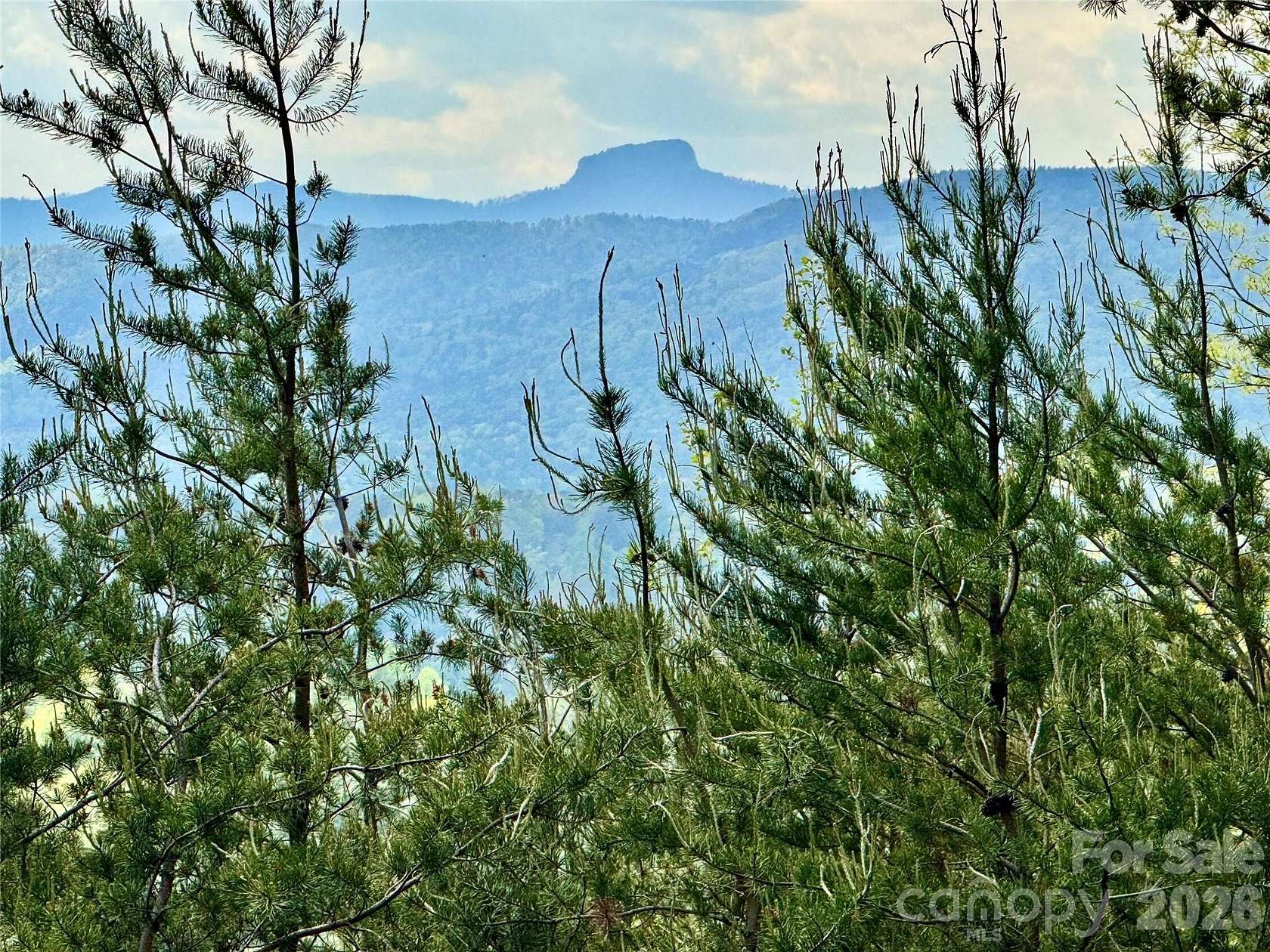 4.53 Acres of Land for Sale in Lenoir, North Carolina