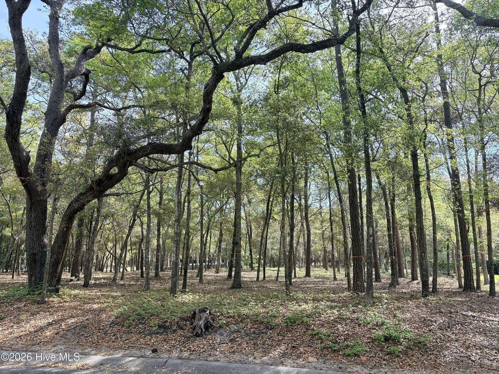 0.43 Acres of Residential Land for Sale in Supply, North Carolina