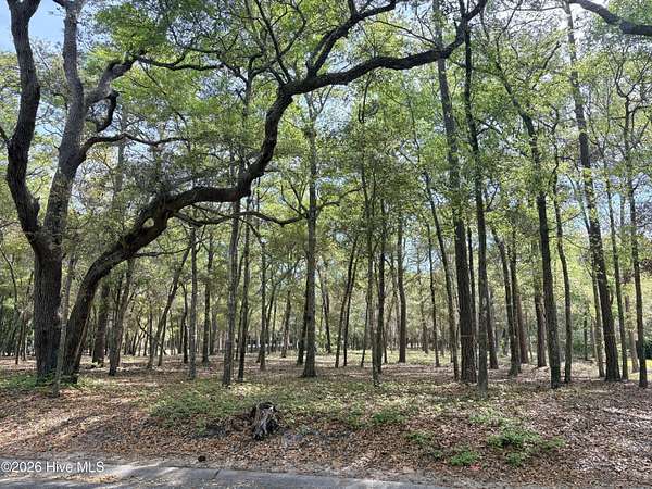 0.43 Acres of Residential Land for Sale in Supply, North Carolina