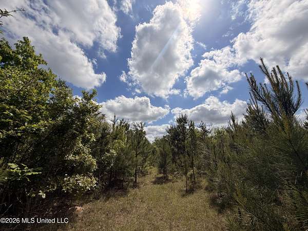 85 Acres of Recreational Land for Sale in Monticello, Mississippi