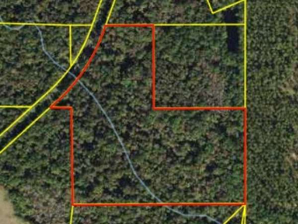 32 Acres of Recreational Land for Sale in Havana, Florida