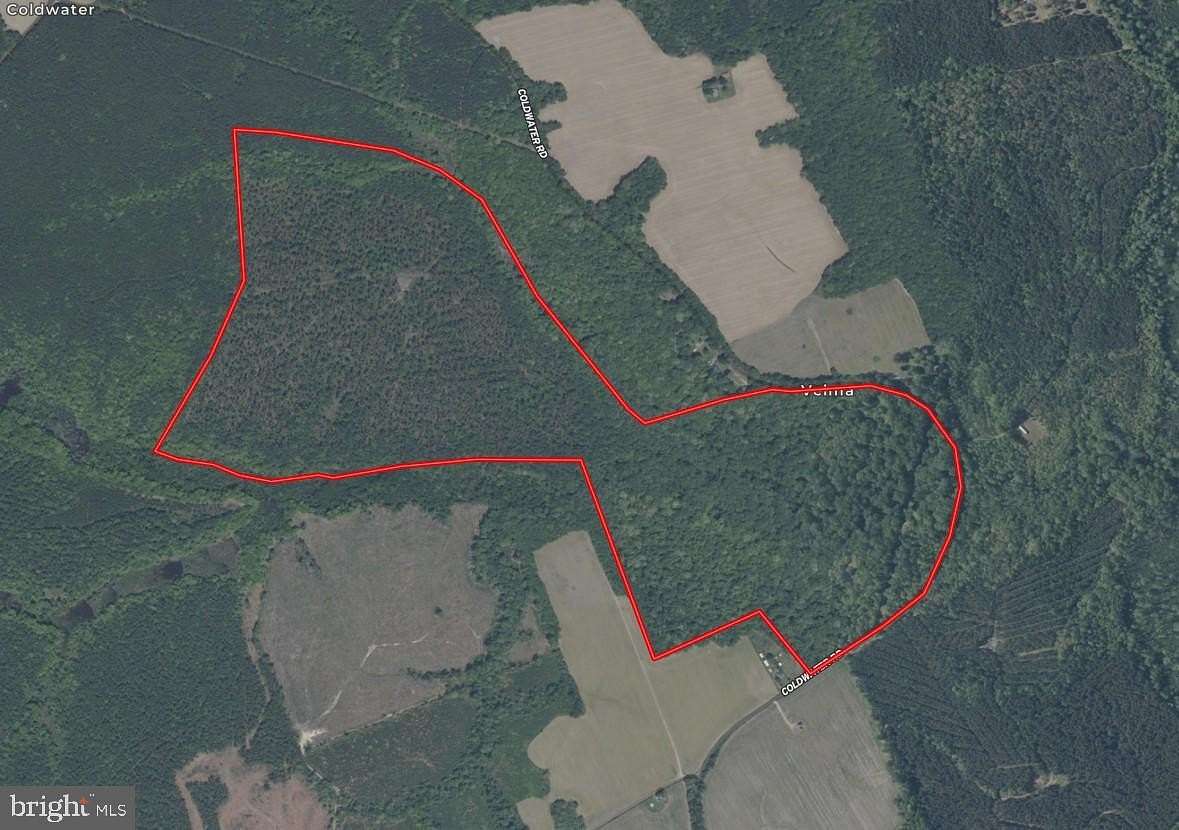 213 Acres of Recreational & Residential Land for Sale in Mascot, Virginia