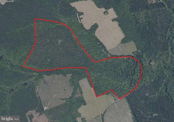 213 Acres of Recreational & Residential Land for Sale in Mascot, Virginia