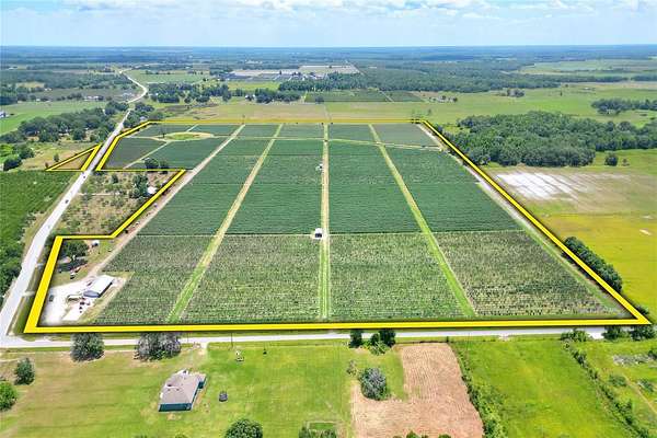 167 Acres of Agricultural Land for Sale in Zolfo Springs, Florida