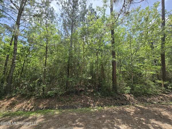 0.11 Acres of Residential Land for Sale in Bay St. Louis, Mississippi