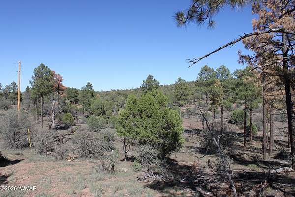 7.5 Acres of Residential Land for Sale in Show Low, Arizona