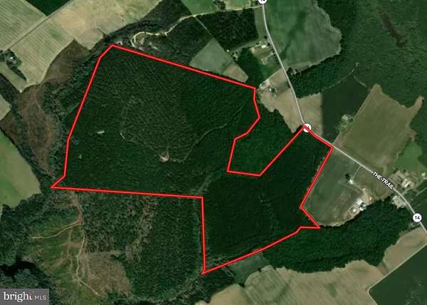 246 Acres of Recreational & Residential Land for Sale in Mattaponi, Virginia