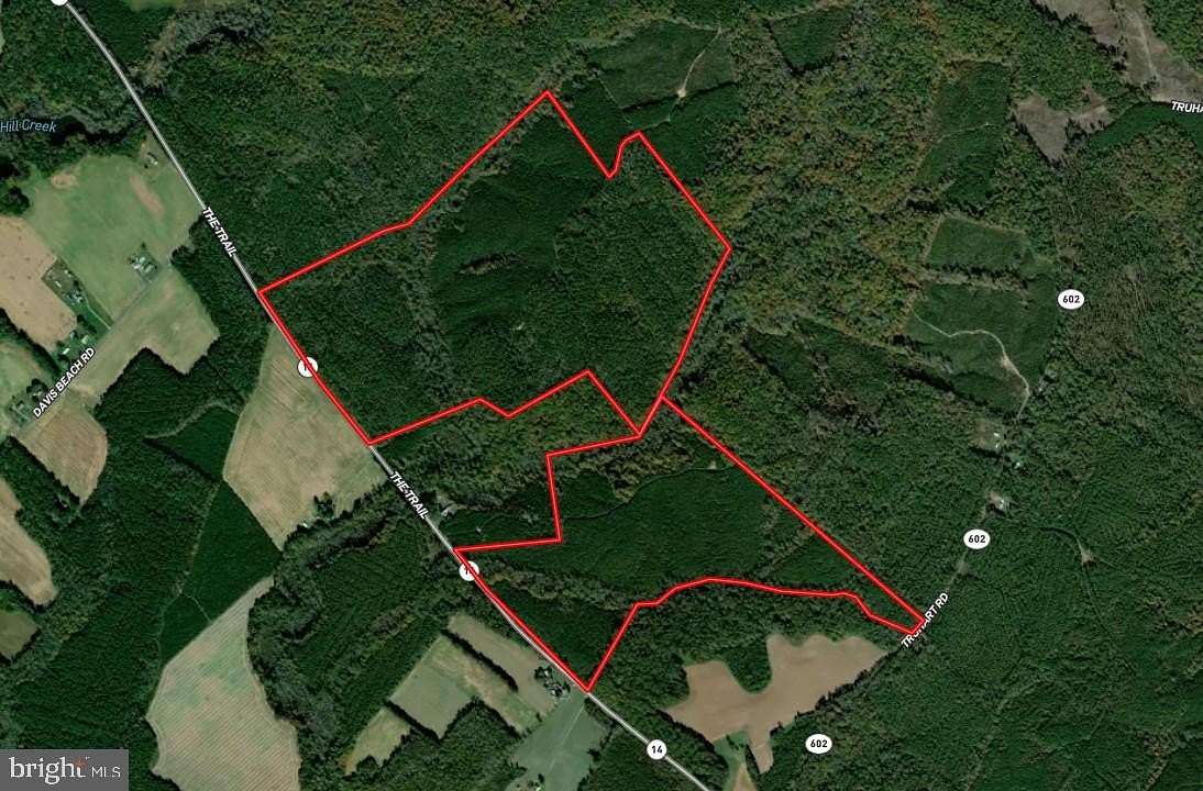 302 Acres of Recreational & Residential Land for Sale in King and Queen Court House, Virginia