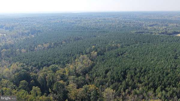 58 Acres of Recreational & Residential Land for Sale in King and Queen Court House, Virginia