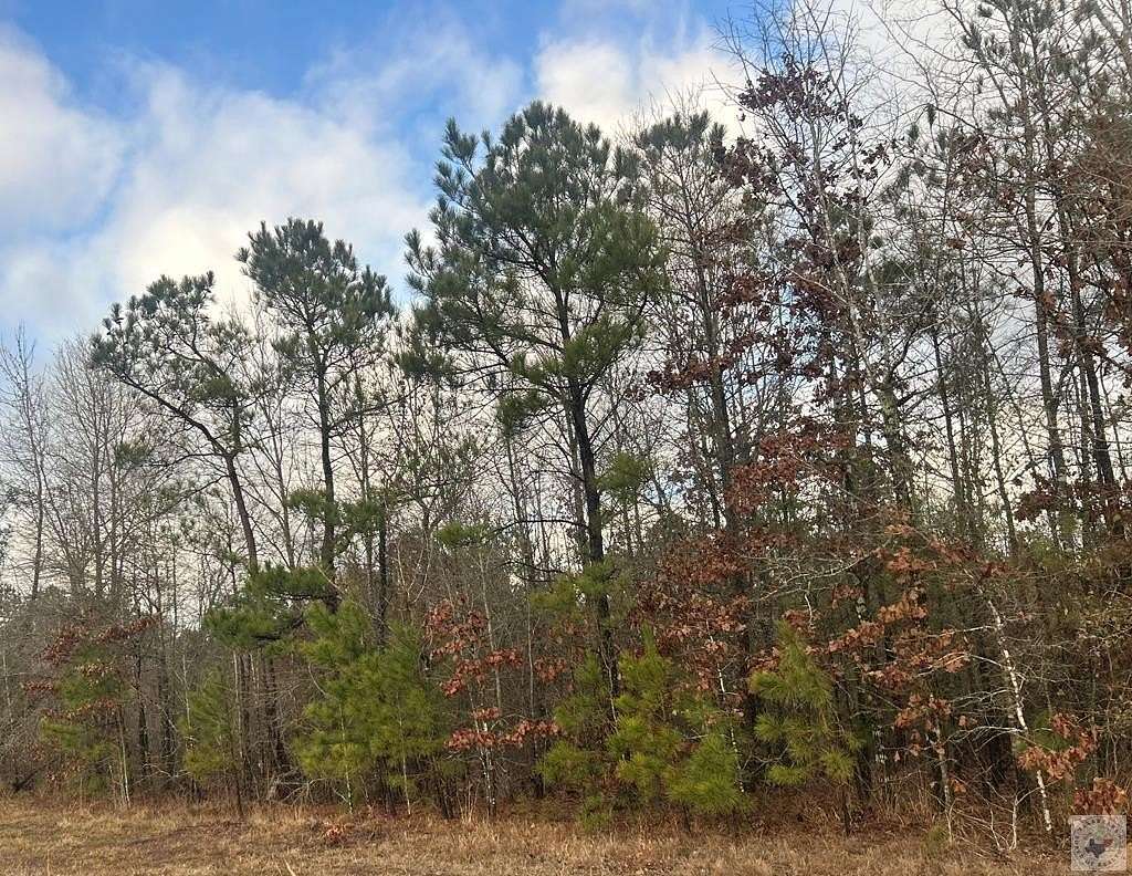 14.6 Acres of Recreational & Residential Land for Sale in Fouke, Arkansas