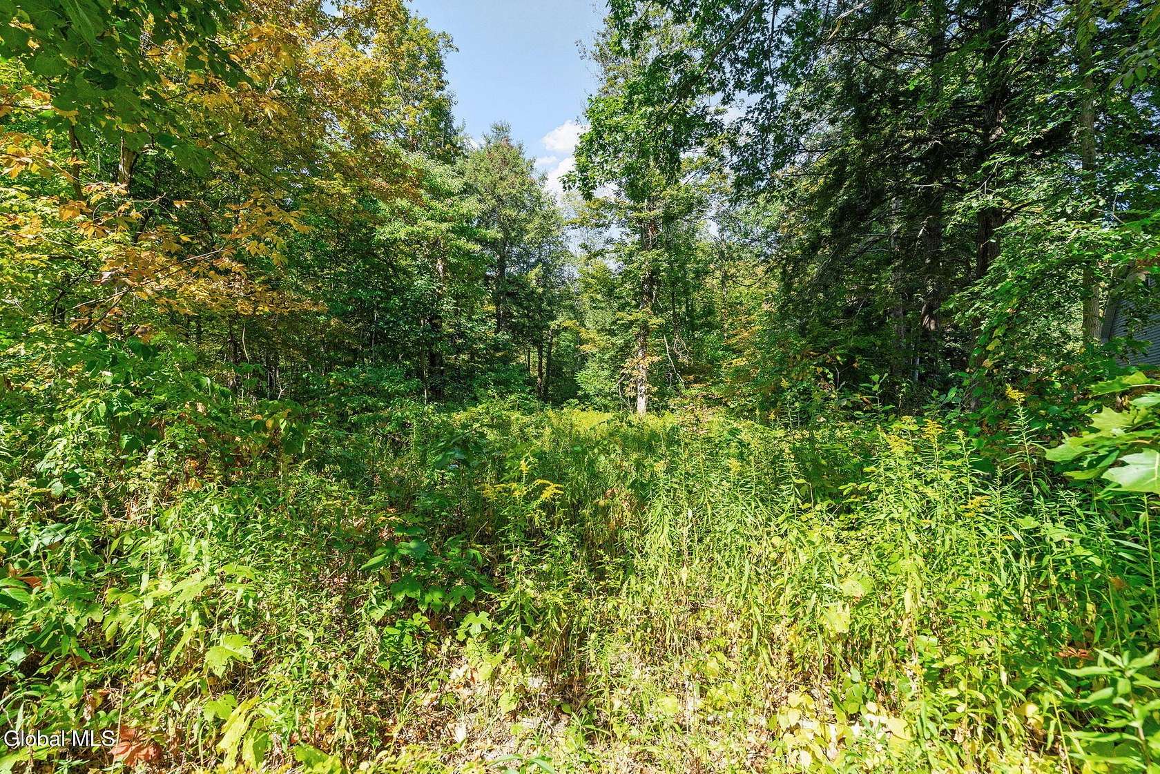 2 Acres of Residential Land for Sale in Altamont, New York