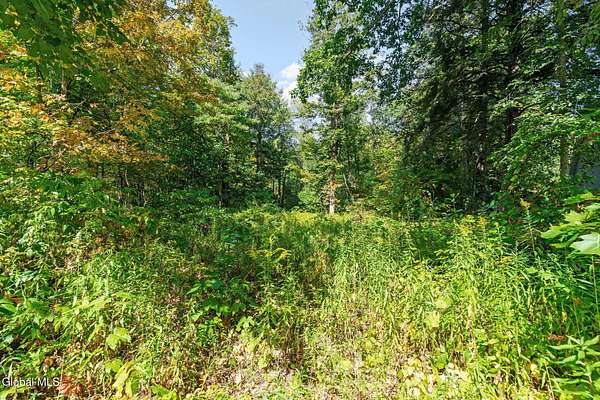 2 Acres of Residential Land for Sale in Altamont, New York