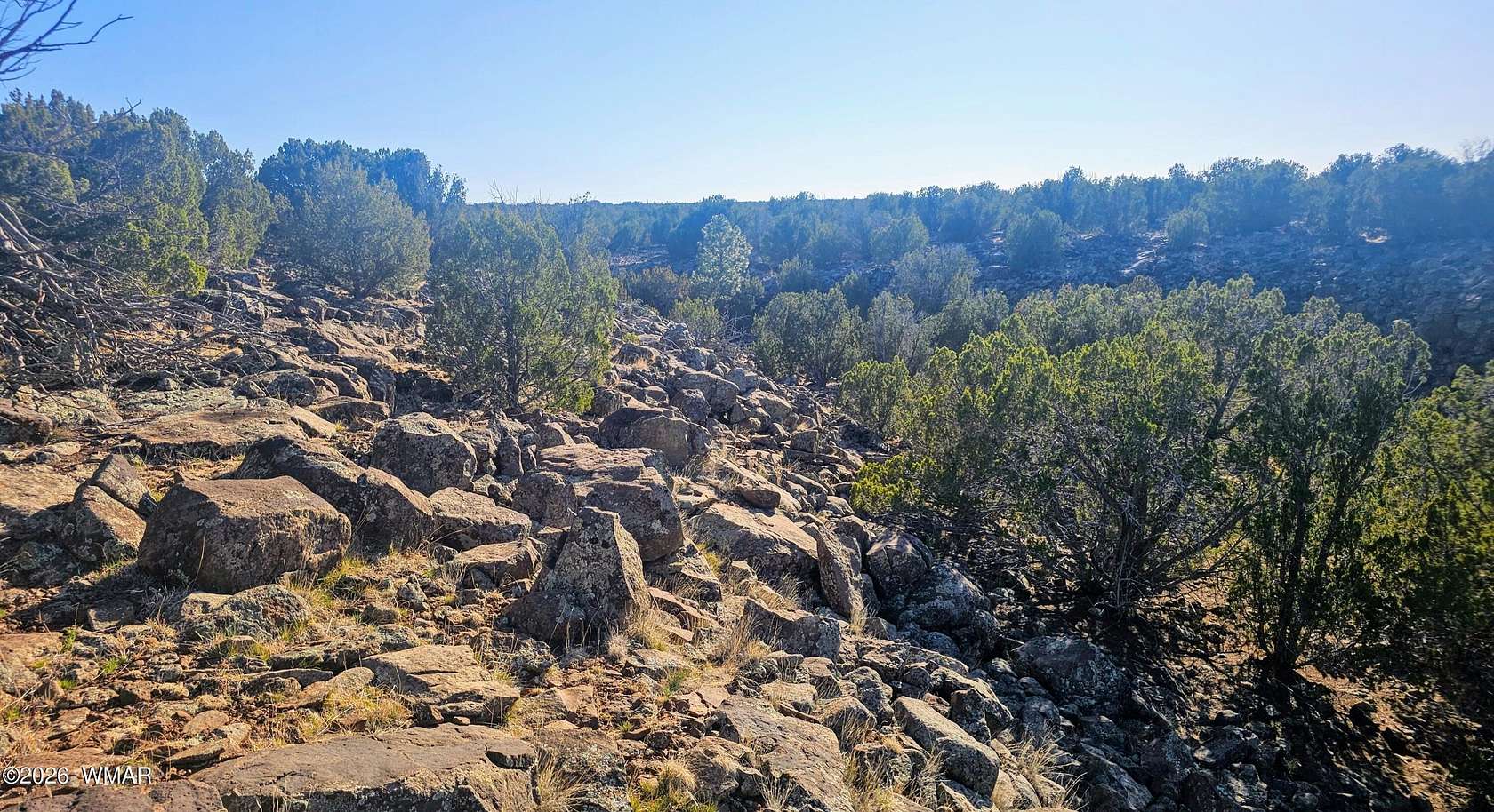 20.4 Acres of Improved Land for Sale in Show Low, Arizona