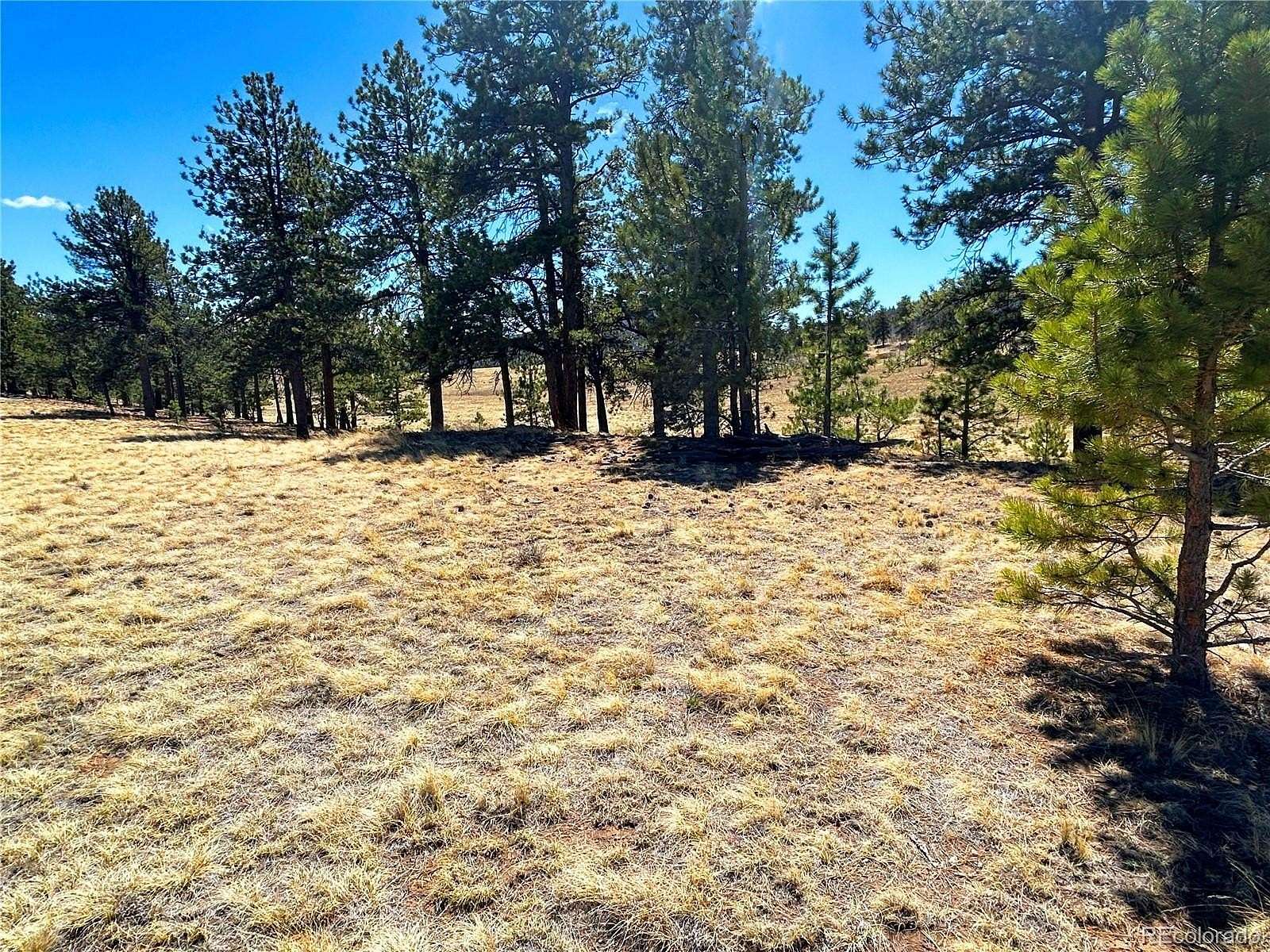 4.5 Acres of Residential Land for Sale in Buena Vista, Colorado