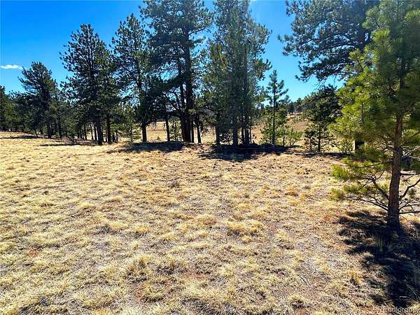 4.5 Acres of Residential Land for Sale in Buena Vista, Colorado