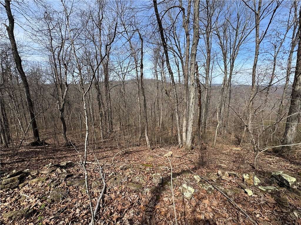 2.59 Acres of Land for Sale in Sand Gap, Arkansas